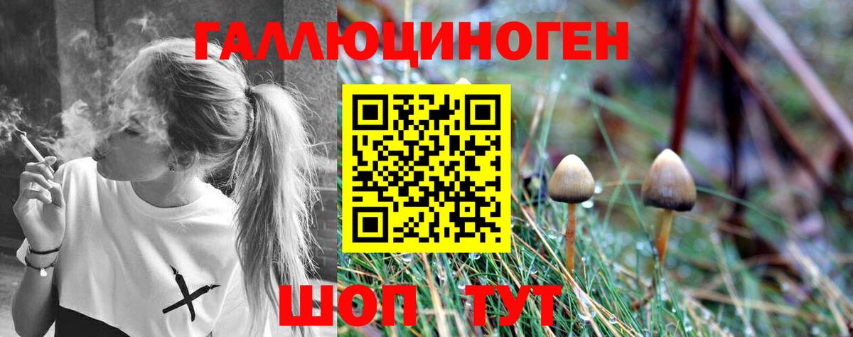 Галлюциногенные грибы MAGIC MUSHROOMS Сертолово