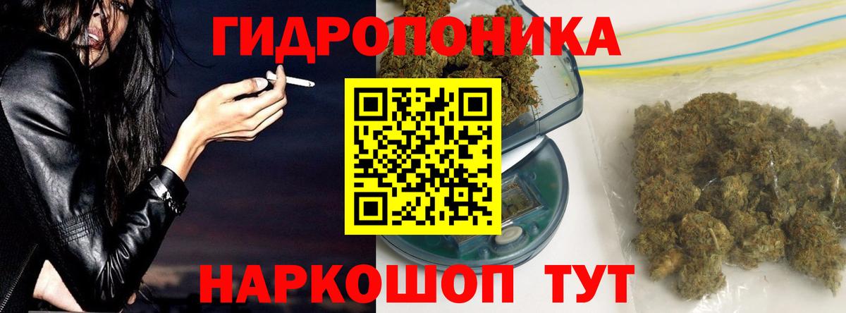 Марихуана конопля  Вход с VPN  Сертолово  Бошки марихуана LSD WEED  Конопля THC 21%  Бошки Шишки Amnesia 