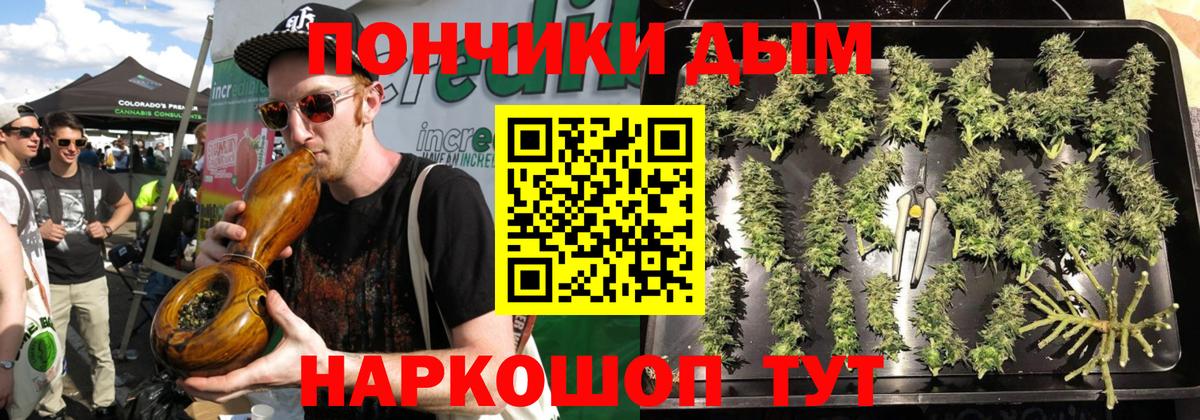 Конопля марихуана Сертолово